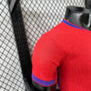 2025 Player Version Norway National Team Home Football Jersey detail view