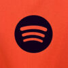 2025/2026 Barcelona Third Away Football Shirt detail view