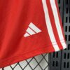 2025/2026 Bayern Munchen Home Shorts back view