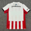 2025/2026 Eindhoven Home Football Shirt back view