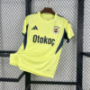 2025/2026 Fenerbahce Away Football Shirt front view