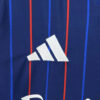 2025/2026 Olympique Lyon Away Football Shirt detail view