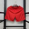 2025/2026 PSG Paris Saint-Germain Third Away Shorts front view
