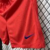 2025/2026 PSG Paris Saint-Germain Third Away Shorts detail view