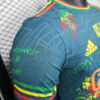 2025/2026 Player Version Ajax Special Edition Football Shirt detail view