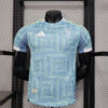 2025/2026 Player Version Juventus Away Football Shirt front view