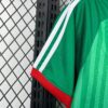 2026 Algeria Away World Cup Jersey detail view