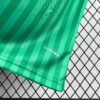 2026 Algeria Away World Cup Jersey detail view