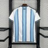 2026 Argentina Home World Cup Football Shirt back view