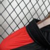 2026 Austria Home World Cup Shorts detail view