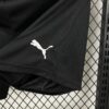 2026 Austria Home World Cup Shorts detail view