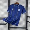 2026 Bosnia & Herzegovina Home World Cup Football Jersey front view