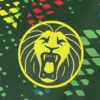 2026 Cameroon Home World Cup Football Shirt detail view