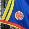 2026 Colombia Home World Cup Shorts detail view