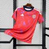 2026 Costa Rica Home World Cup Football Shirt front view