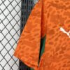 2026 Ivory Coast World Cup Home Football Jersey detail view