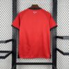 2026 Jordan Away World Cup Football Shirt back view