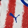 2026 Paraguay Home Shirt World Cup detail view