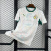 2026 Senegal Away World Cup Football Jersey front view