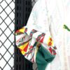 2026 Senegal Away World Cup Football Jersey detail view