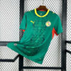 2026 Senegal Home World Cup Football Jersey front view