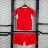 2026 Switzerland Home World Cup Football Jersey Kids Size detail view