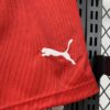2026 Switzerland Home World Cup Shorts detail view