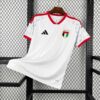 2026 United Arab Emirates Home Football Shirt front view