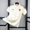 2026 Wales Away World Cup Football Jersey front view