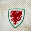 2026 Wales Away World Cup Football Jersey detail view