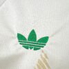 2026 Wales Away World Cup Football Jersey detail view