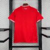 2026 Wales Home World Cup Football Jersey back view