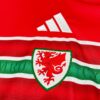 2026 Wales Home World Cup Football Jersey detail view
