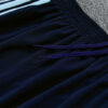 2026/2027 Argentina Half-Pull Light Blue Tracksuit detail view