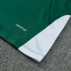 2026/2027 Italy Blue Half Zipper Green Tracksuit detail view