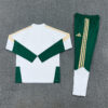 2026/2027 Italy Blue Half Zipper White Green Tracksuit back view