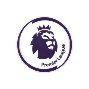 16-19 Premier League patch